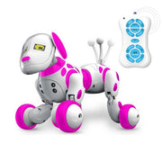 Buy High Quality 2020 New Remote Control Smart Robot - Sound21
